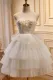 White Tulle 3D Floral Lace A-Line Tiered Homecoming Dress