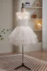 Phoebe |A-line Spaghetti Straps Tulle Short Homecoming Dresses
