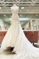 Natasha | Champagne V-Neck Asymmetrical Mermaid Wedding Dress with Appliques