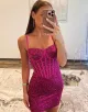 Amara |Sheath Sweetheart Neck Sequins Homecoming Dress(Fuchsia,2)