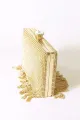 Tassels Golden Exquisite Square Party Handbag(Golden,ONE SIZE)